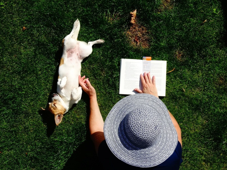 Akce KJM: Kniha a pes = věrný přítel člověka
