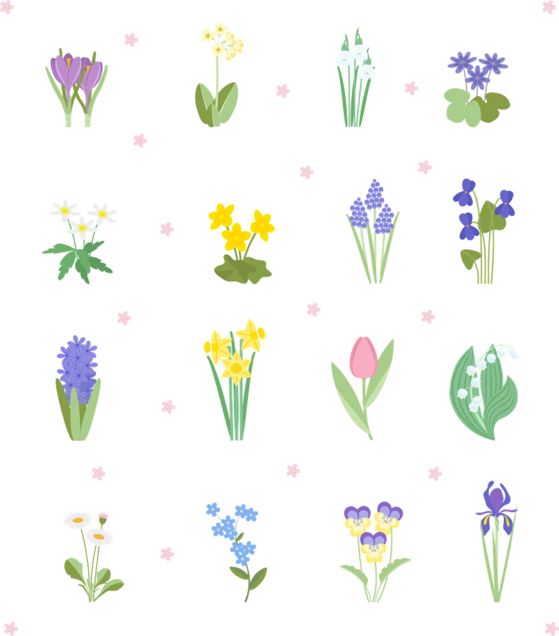 Akce KJM: Jarní květina v květináči (třeba ještě pro maminku)